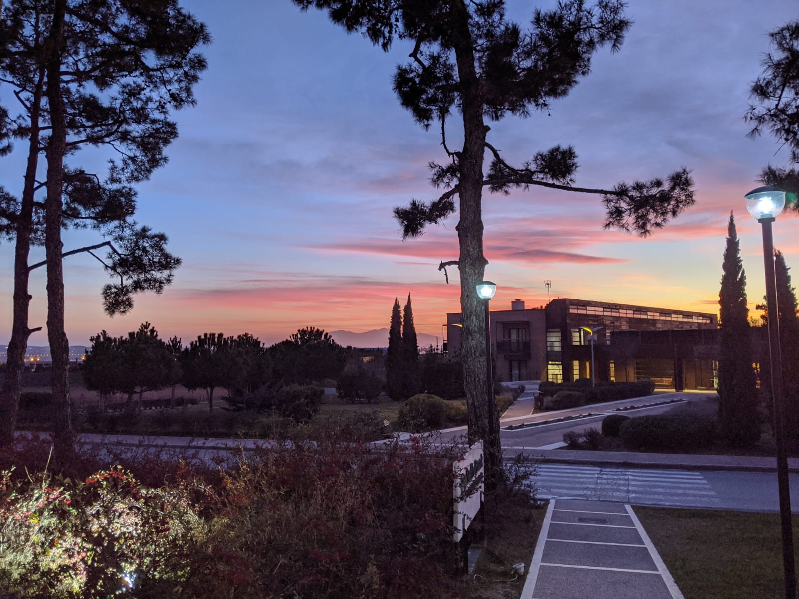 study abroad perrotis campus
